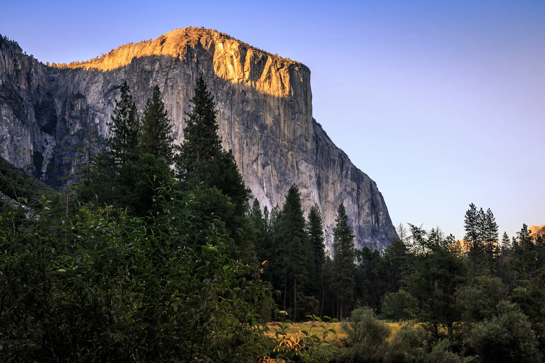 A granite mountain face lit by the evening sun above a pine forest