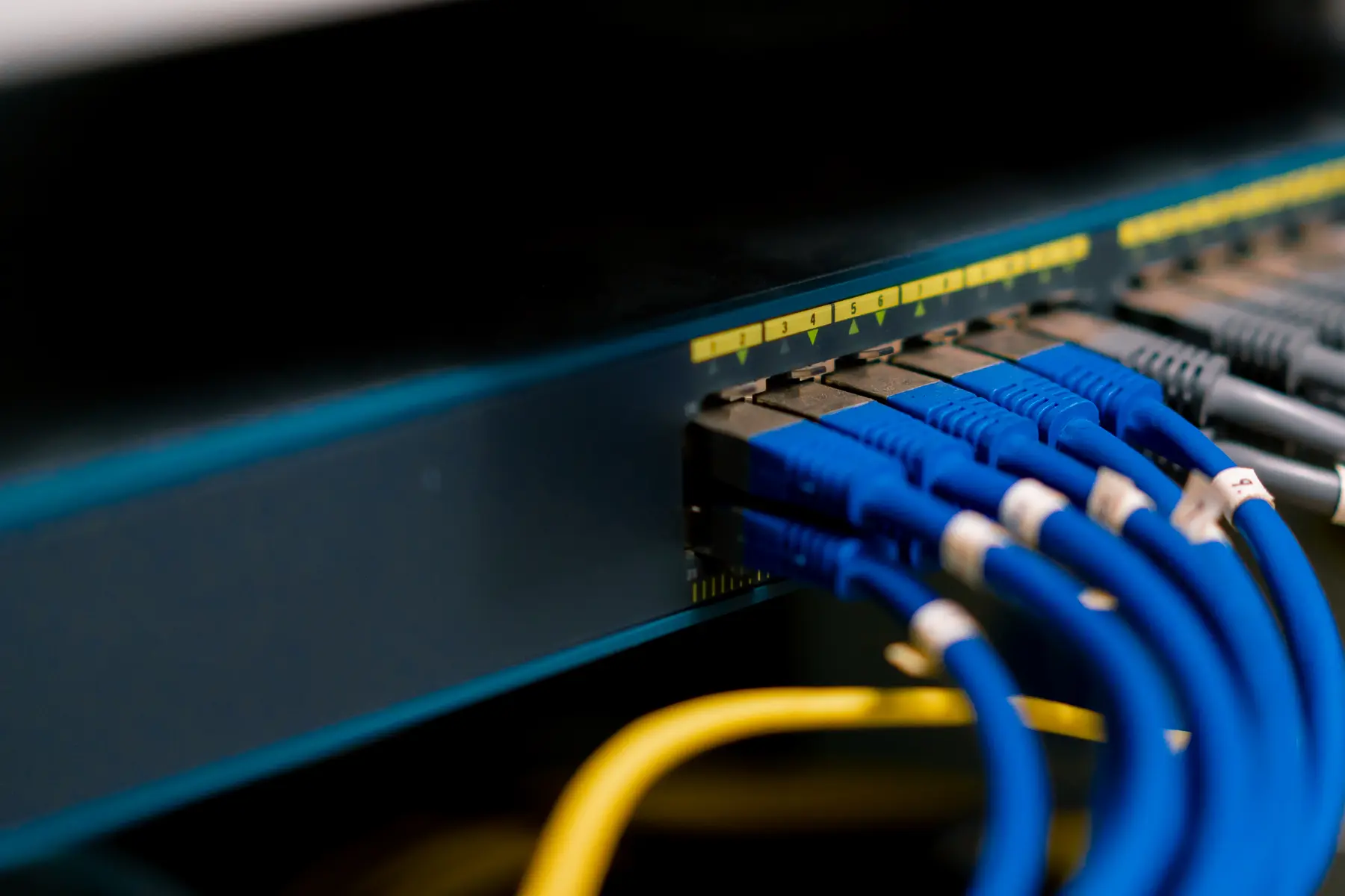 Blue network cables plugged into a switch
