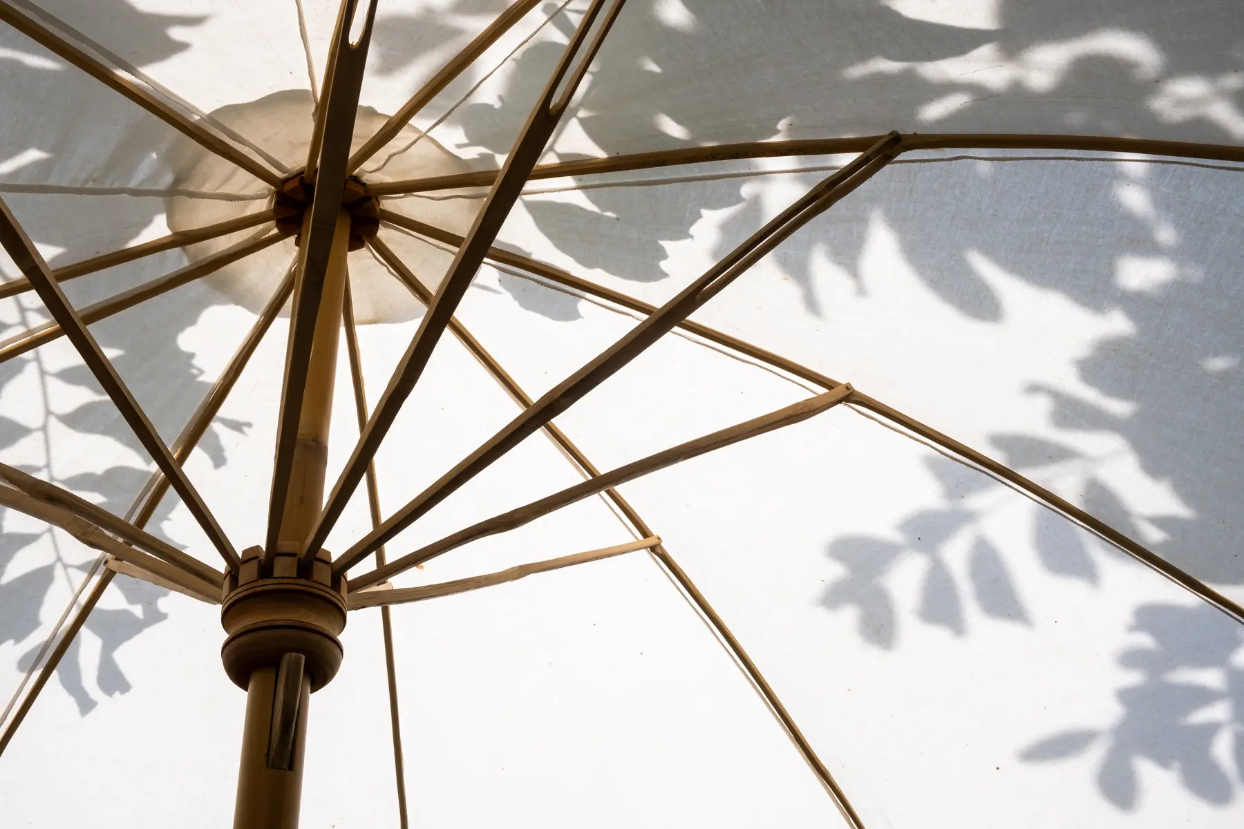 The underside of an umbrella with leaf shadows on it