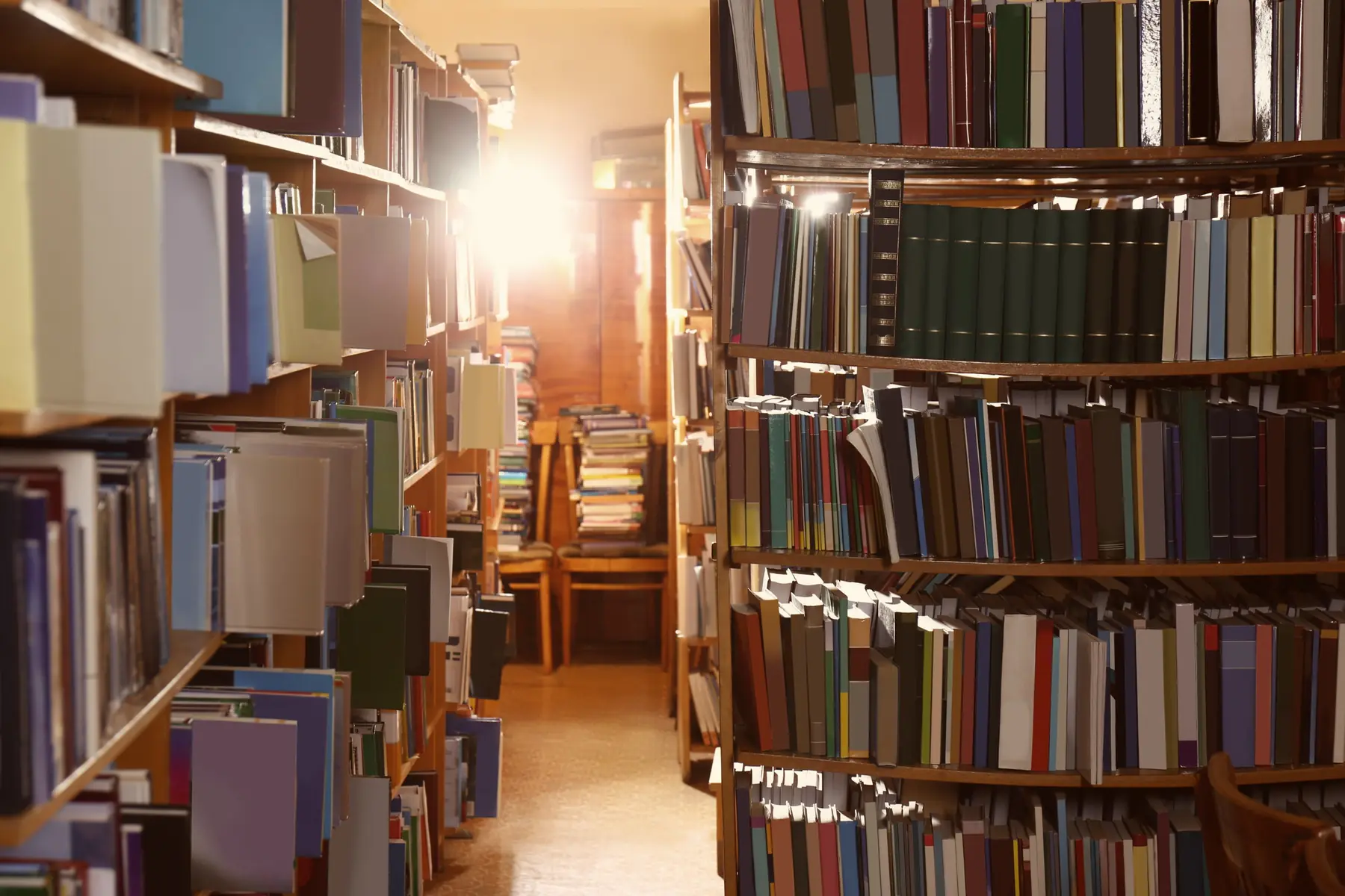 Library shelves full of books