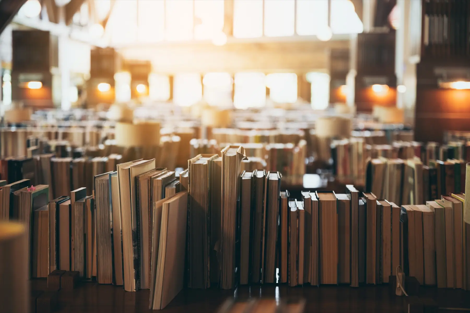 Books on a library shelf in bright sunlight